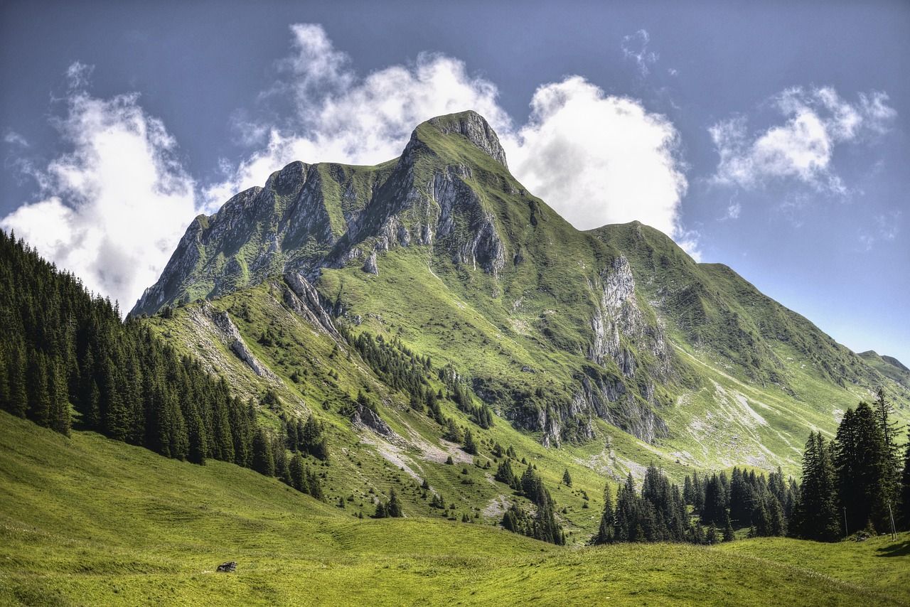 découvrez tout sur le tourisme : destinations incontournables, conseils de voyage, activités à faire et astuces pour profiter au mieux de vos séjours en france et à l'international.