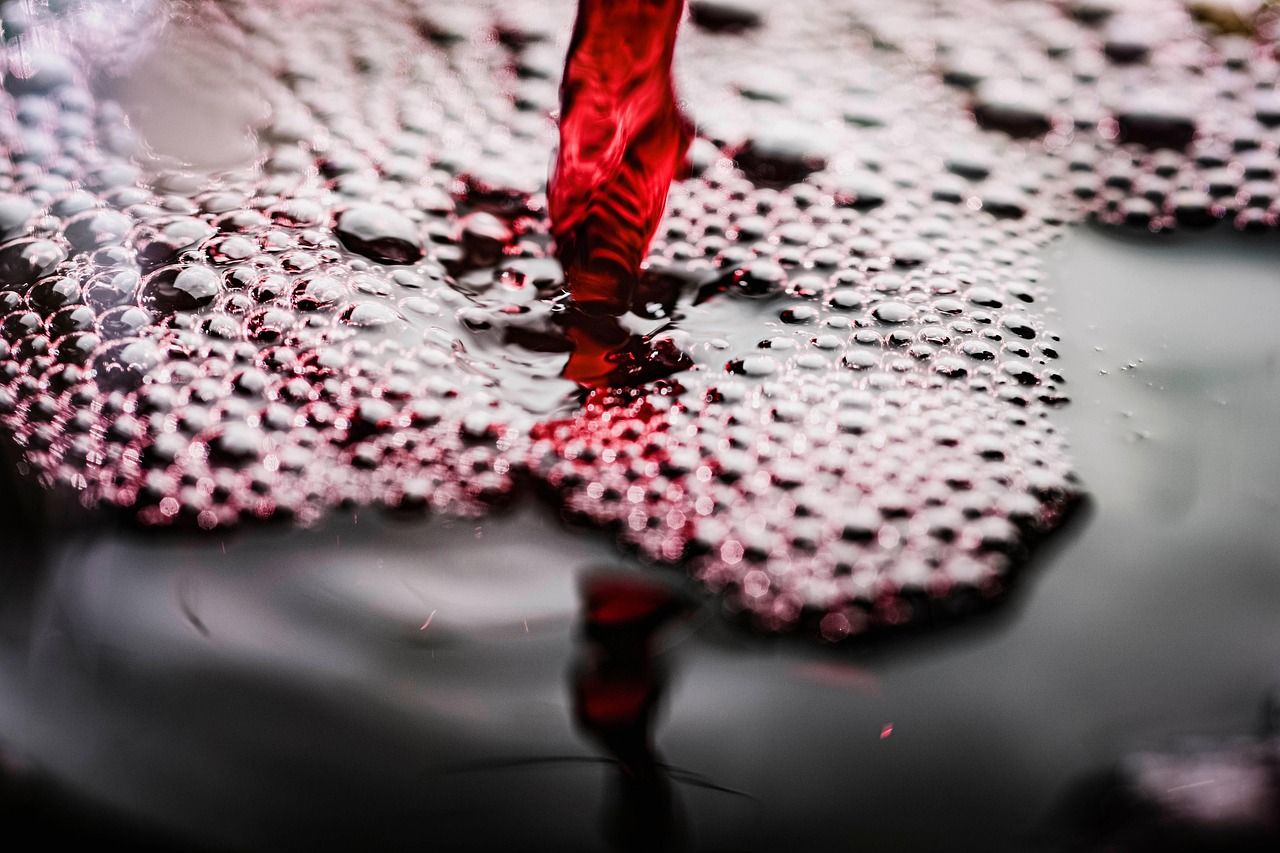 découvrez l’univers fascinant des vins : conseils de dégustation, accords mets et vins, actualités viticoles et sélection des meilleurs crus pour tous les amateurs, du débutant à l’expert.