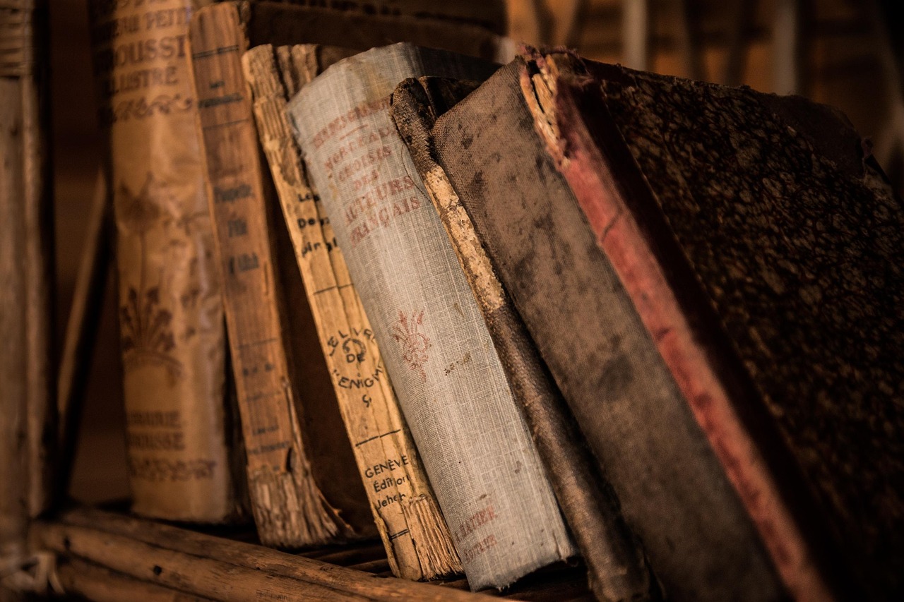 Les indispensables livres SEO à découvrir en 2025