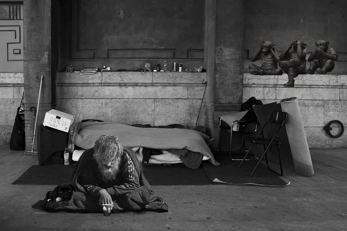 Désastreux », « Dé-geu-lasse », « C’était déjà éclaté mais alors là », « On ne trouve rien » : un constat sans appel