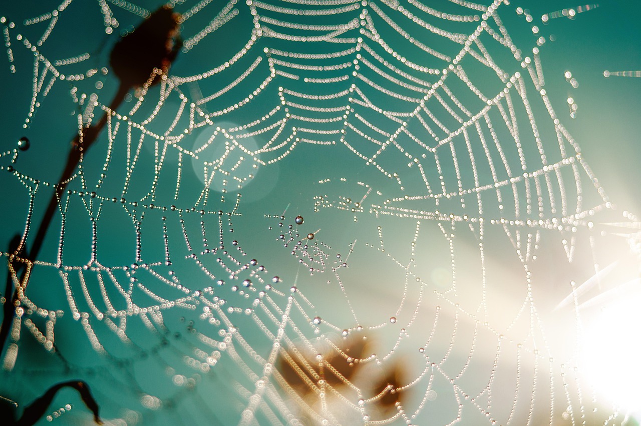 Top 2025 : Les Outils Indispensables pour Analyser le Trafic Web