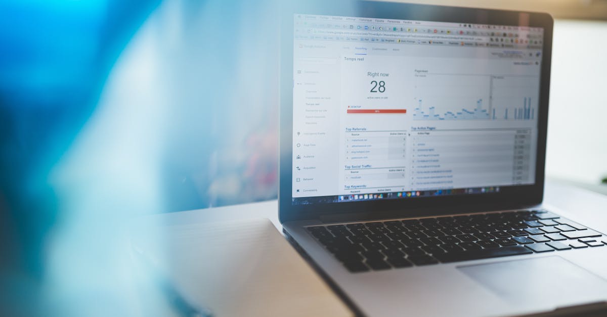 Les statistiques à connaître pour optimiser votre SEO