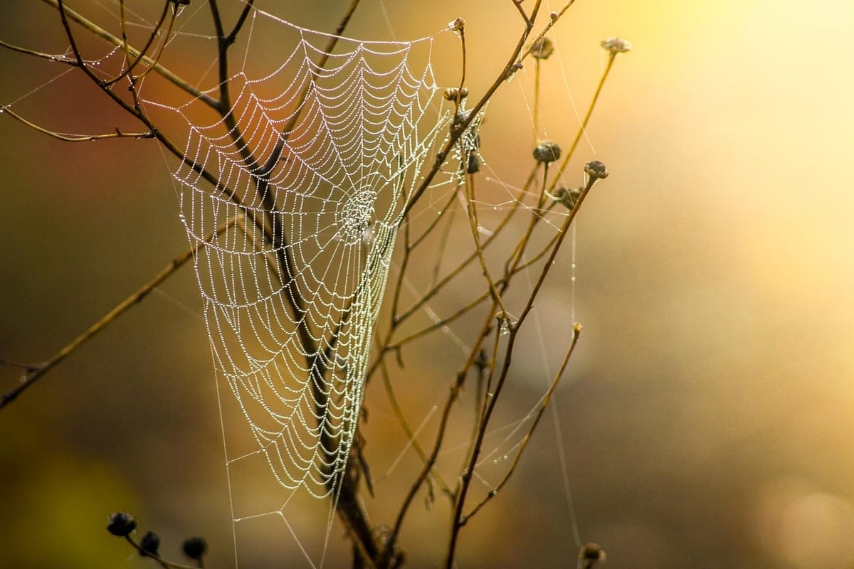 Web analytics : comment optimiser vos performances en ligne