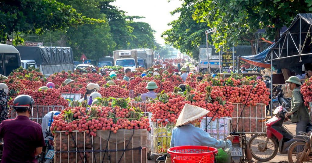 d&eacute;couvrez comment augmenter votre trafic organique gr&acirc;ce &agrave; des strat&eacute;gies seo efficaces et des contenus de qualit&eacute;. am&eacute;liorez votre visibilit&eacute; en ligne et attirez des visiteurs cibl&eacute;s sur votre site.