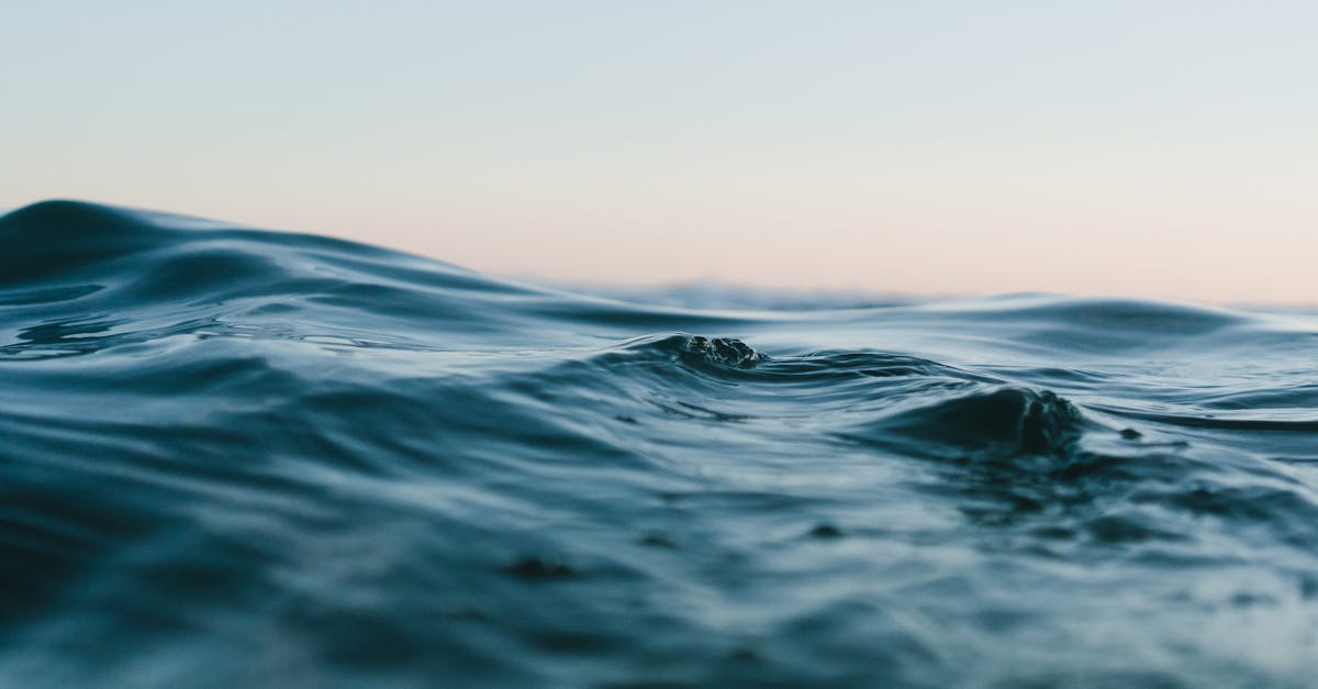 découvrez la beauté des mers : explorez des plages ensoleillées, des écosystèmes marins riches et des activités nautiques passionnantes. laissez-vous emporter par les vagues et plongez dans un monde d'aventures aquatiques.