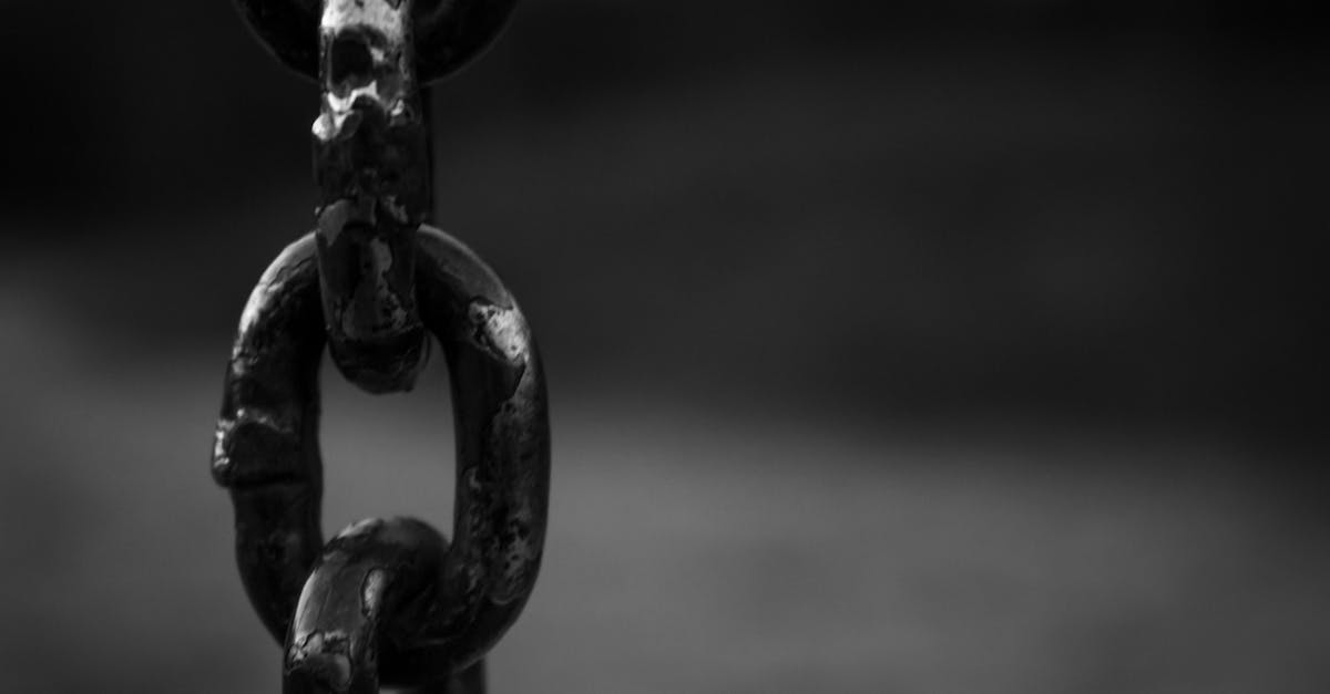 découvrez comment les réseaux de liens peuvent booster votre stratégie de référencement naturel. apprenez à créer et gérer efficacement vos backlinks pour améliorer votre visibilité en ligne et augmenter le trafic vers votre site.