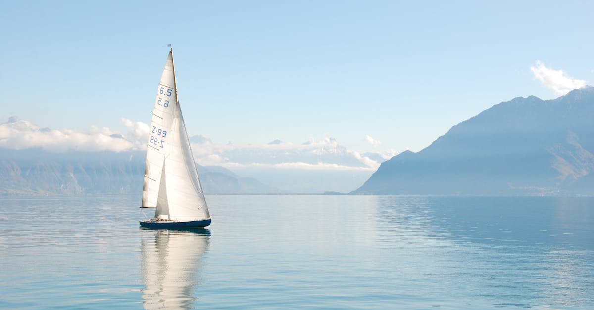 découvrez l'univers fascinant de la mer : des paysages à couper le souffle, une biodiversité riche et des activités nautiques passionnantes. plongez dans cette aventure maritime et explorez toutes les merveilles que l'océan a à offrir.