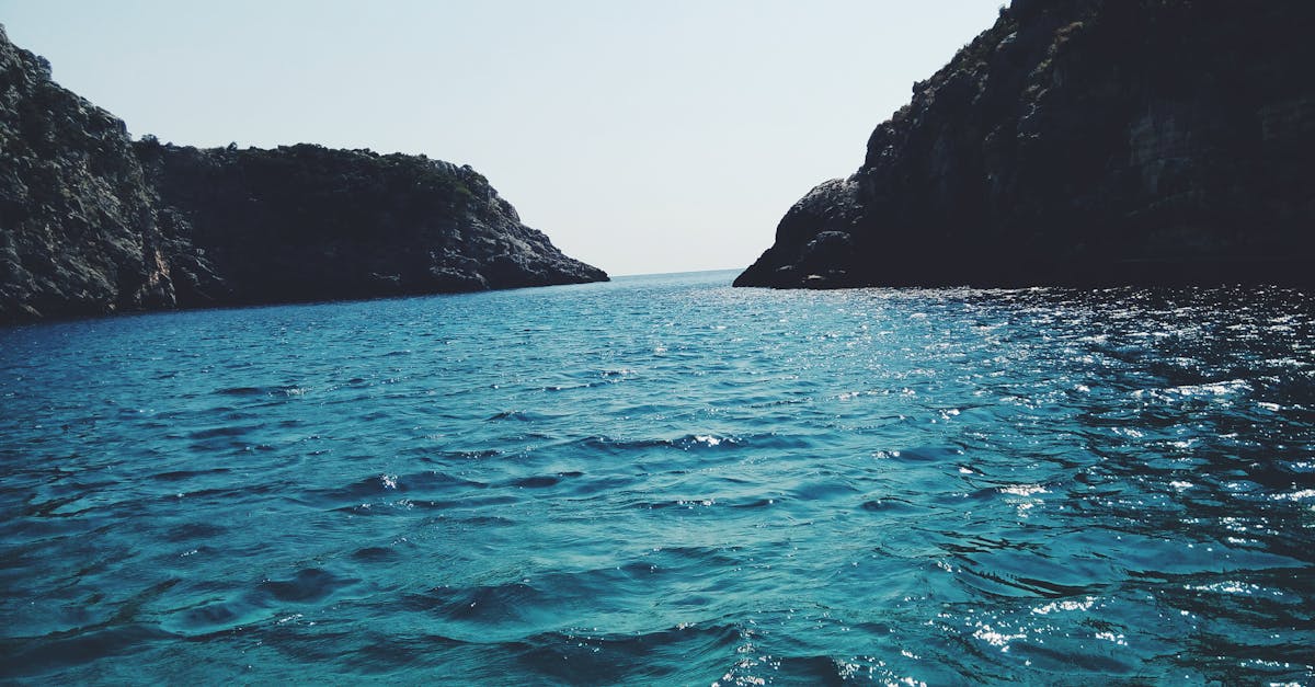 découvrez la beauté et la sérénité de la mer avec notre guide complet sur les activités nautiques, la faune marine et les paysages côtiers enchanteurs. plongez dans l'univers fascinant de l'océan et explorez les trésors que la mer a à offrir.