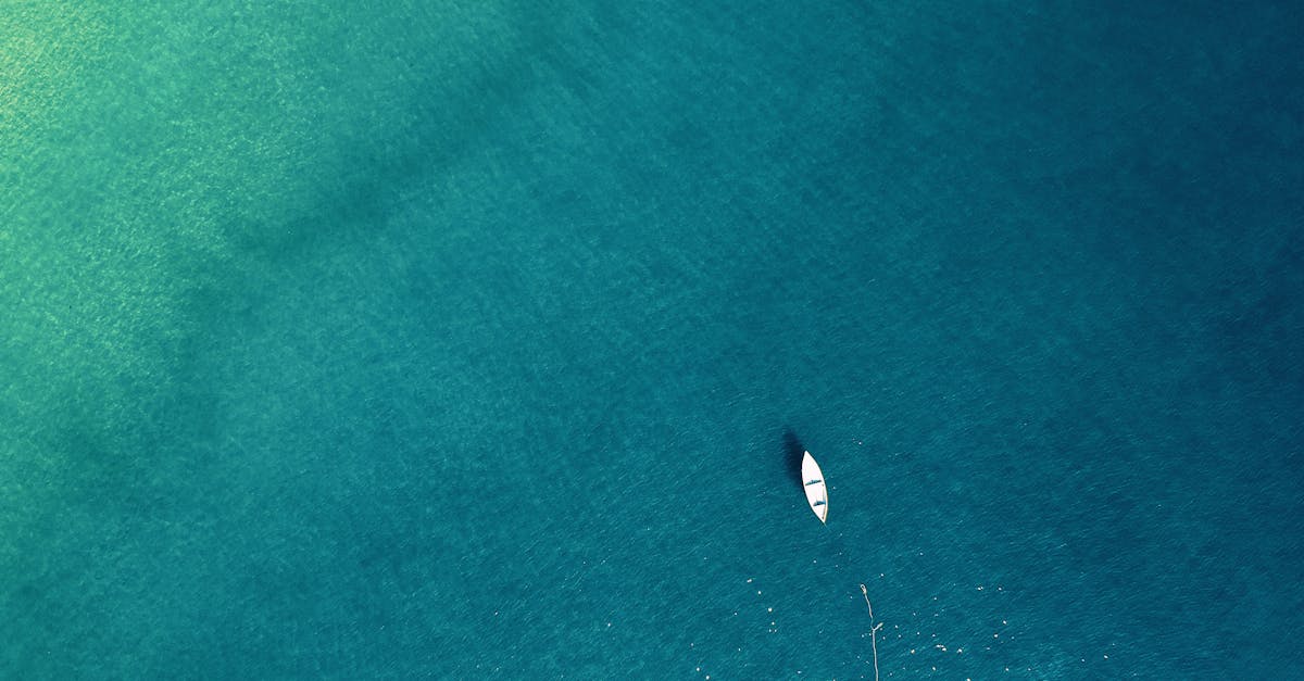 découvrez l'univers fascinant de la mer, ses paysages enchanteurs, sa biodiversité incroyable et les activités nautiques qui vous attendent. plongez dans l'aventure marine avec des récits inspirants et des conseils pour apprécier pleinement la beauté des océans.