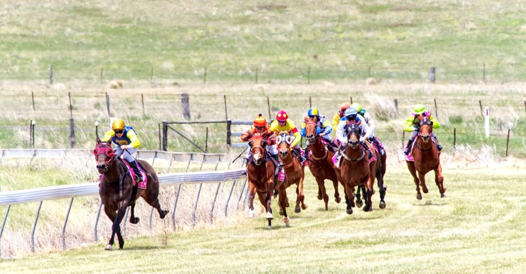 découvrez comment analyser et surmonter la concurrence en seo. apprenez les meilleures stratégies pour optimiser votre référencement, évaluer les forces et faiblesses de vos concurrents, et améliorer votre positionnement sur les moteurs de recherche.