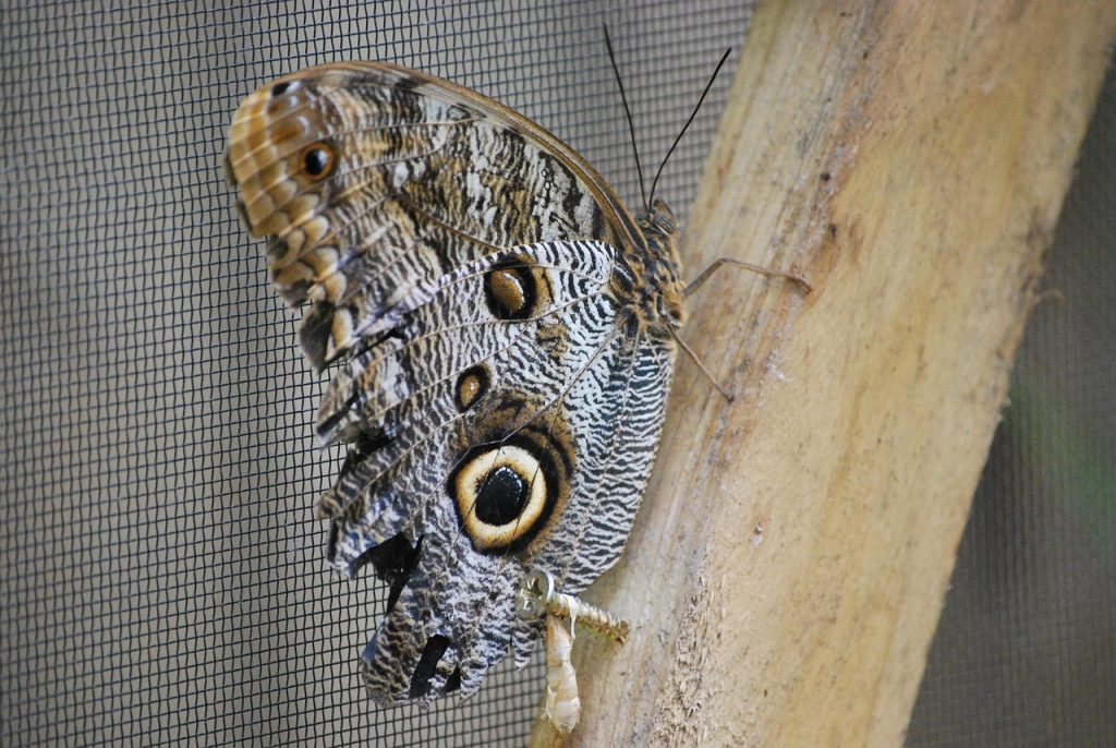 d&eacute;couvrez comment optimiser votre taux de conversion gr&acirc;ce &agrave; des strat&eacute;gies efficaces et des techniques &eacute;prouv&eacute;es. am&eacute;liorez vos performances en ligne et augmentez vos ventes d&egrave;s aujourd'hui.