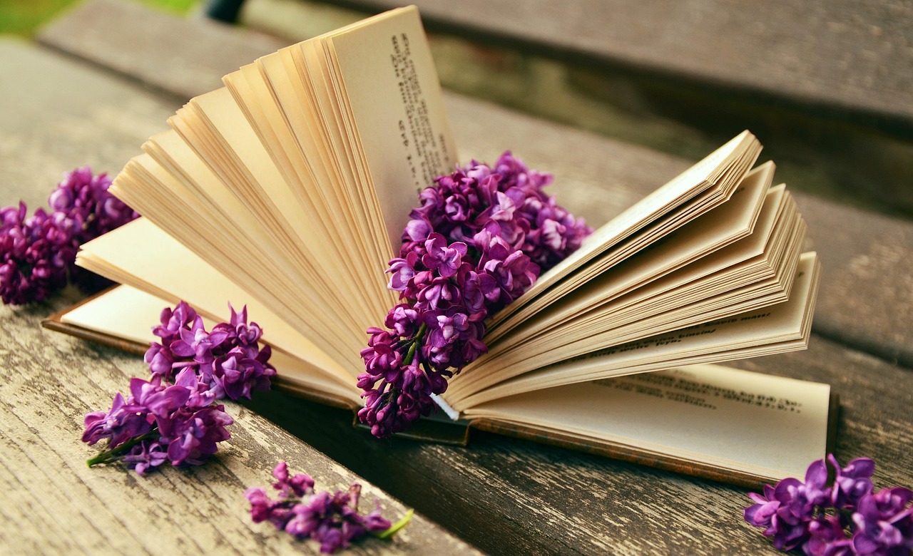 découvrez les meilleurs livres sur le seo pour améliorer votre référencement et booster votre visibilité en ligne. conseils, astuces et stratégies d'experts pour tous niveaux.