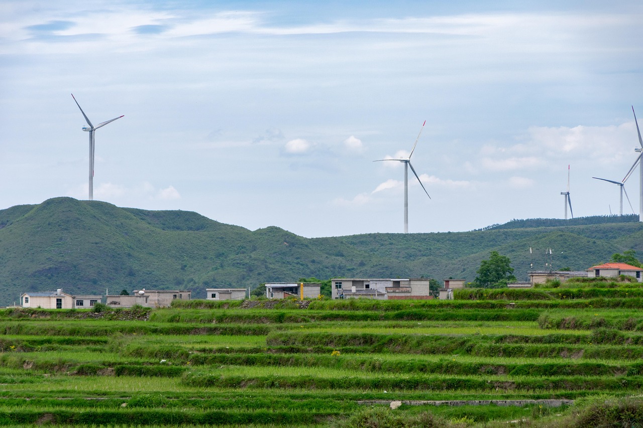 participez à la journée du développement durable : une occasion unique de découvrir des initiatives écologiques, d'échanger sur les enjeux environnementaux et d'agir pour un avenir plus vert et responsable.