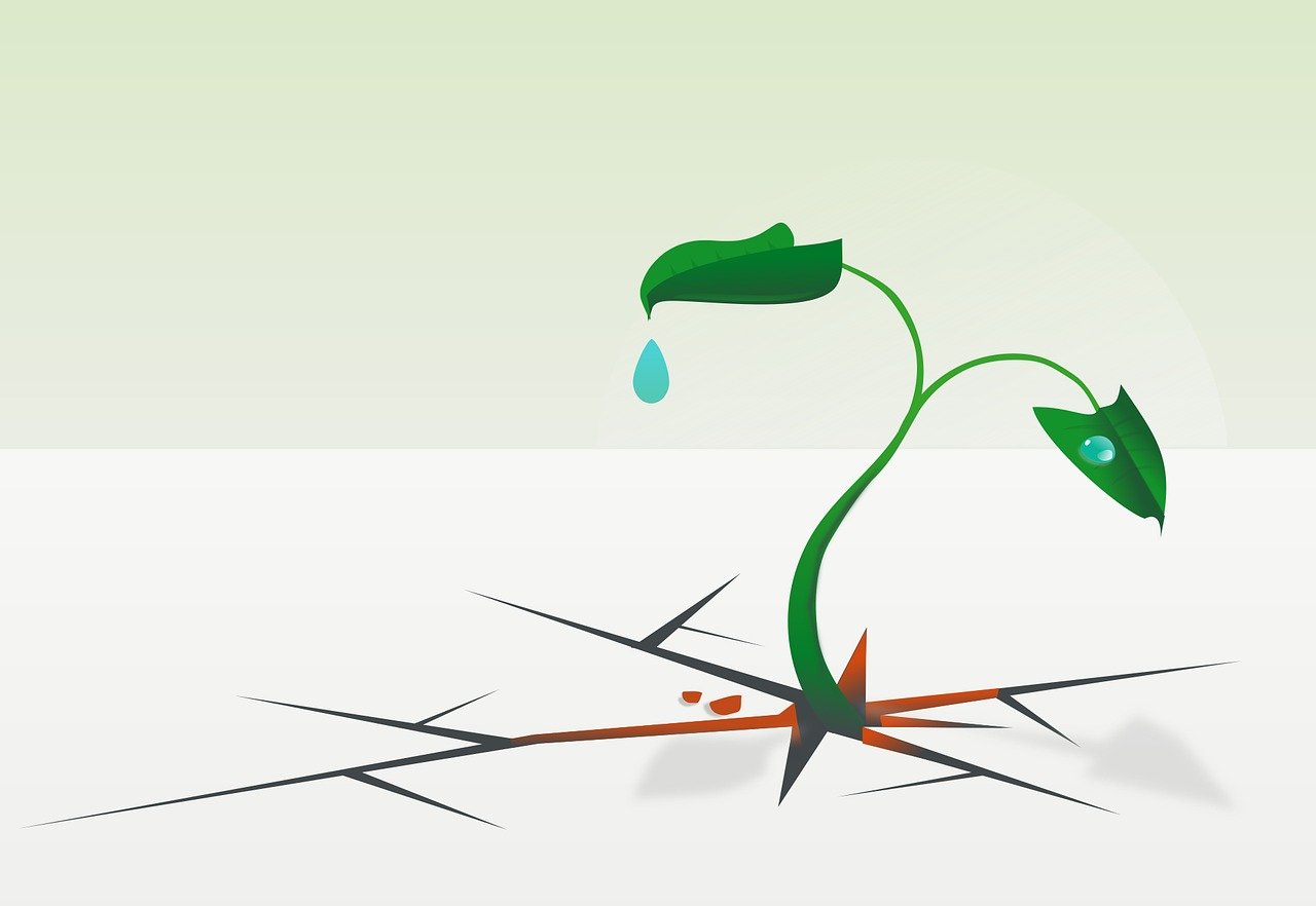 découvrez comment l'intelligence artificielle permet aux marques de survivre et de prospérer dans un marché en constante évolution grâce à des stratégies innovantes et basées sur les données.