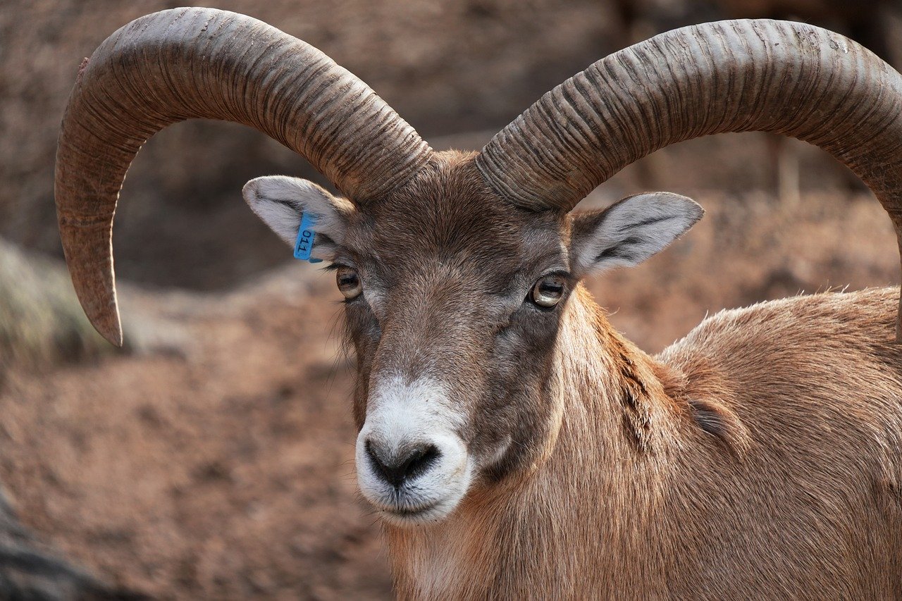 v&eacute;rifiez la compatibilit&eacute; de votre ram avec notre outil facile et rapide pour garantir des performances optimales de votre ordinateur.
