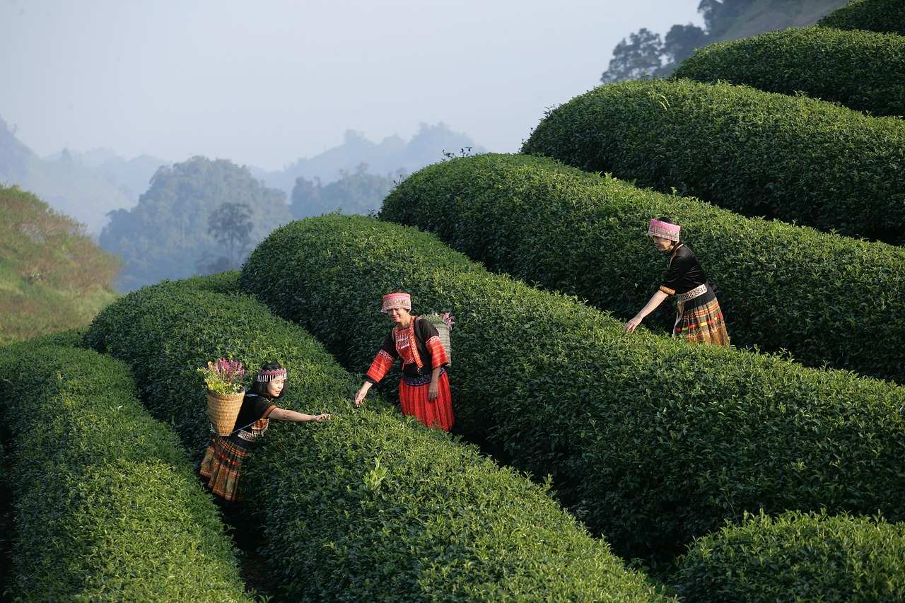 découvrez comment accumuler et utiliser les points d'expérience pour progresser efficacement dans vos jeux et activités préférés.