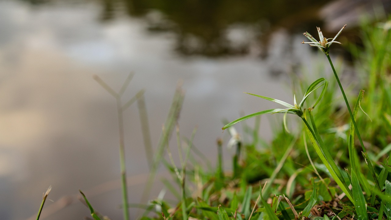 agence de relations publiques spécialisée dans le domaine du sport, offrant des stratégies de communication innovantes pour promouvoir les athlètes, événements et marques sportives.